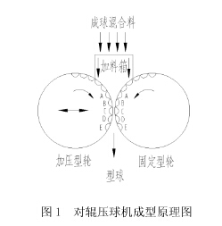 對輥壓球機工作原理示意圖